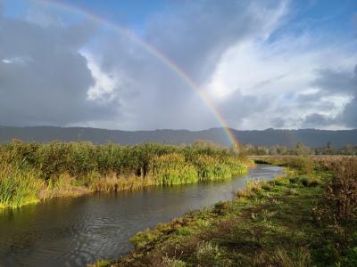 South Jacoby Rainbow by Conor Shea