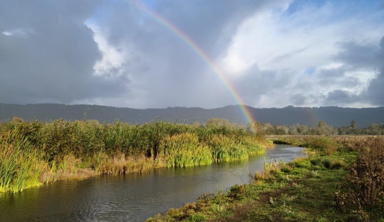South Jacoby Rainbow by Conor Shea