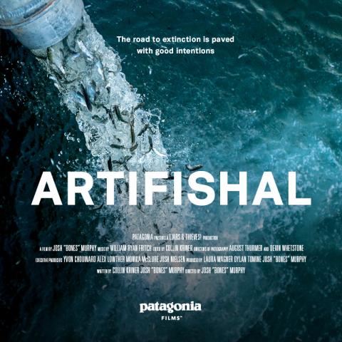 Artifishal movie poster