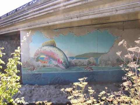 Fish Mural 
