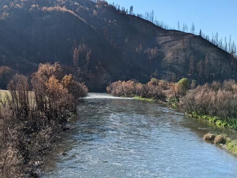 Klamath Mckinney Fire, Photo Credit Damon Goodman