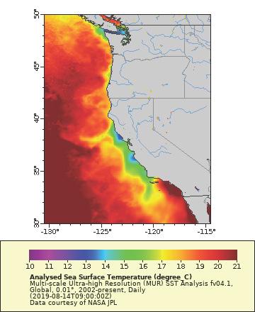 Sea Surface Temperature map of the California Coast