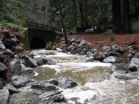 Shingle Mill culvert retrofit