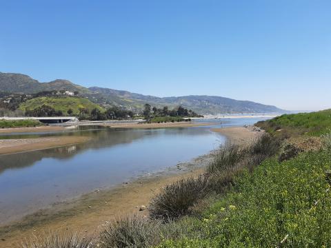 Malibu Lagoon, RCDSM, Rosi Dagit