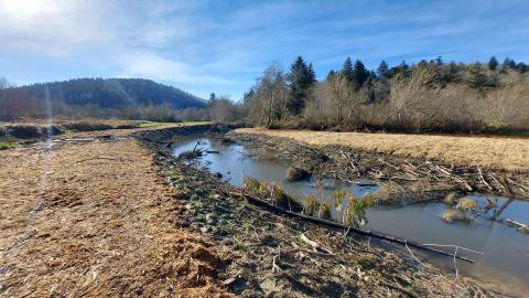 Partly cloudy sky, creek running through, both banks have yellow hay scattered on ground. 