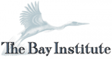 Bay Institute logo and link 