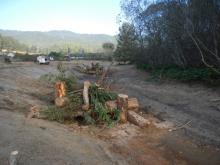Jacoby Creek Cover Structures