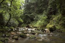 Pescadero Creek Pescadero Creek