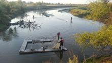 Spring-run Release in the San Joaquin River. Photo by Elif Fehm-Sullivan Spring-run Release in the San Joaquin River. Photo by Elif Fehm-Sullivan
