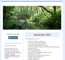 An image of the eNewsletter like it would appear in your email which includes a picture of a stream