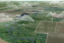 Illustration from A Delta Renewed (San Francisco Estuary Institute, 2016) created by Yiping Lu (UC Berkeley) Illustration from A Delta Renewed (San Francisco Estuary Institute, 2016) created by Yiping Lu (UC Berkeley)