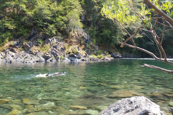 Workshop - Juvenile Salmonid Identification in Lower Smith River (Photo credit Adriane Garayalde)