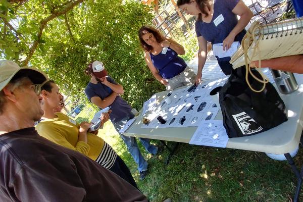 Learning about the greywater plumbing parts