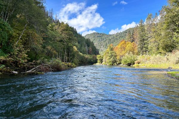 Trinity River in Lewiston, Photo Credit: Kiana Abel
