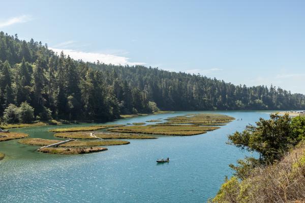 Big River Estuary, Christie Hemm Klok for Trout Unlimited