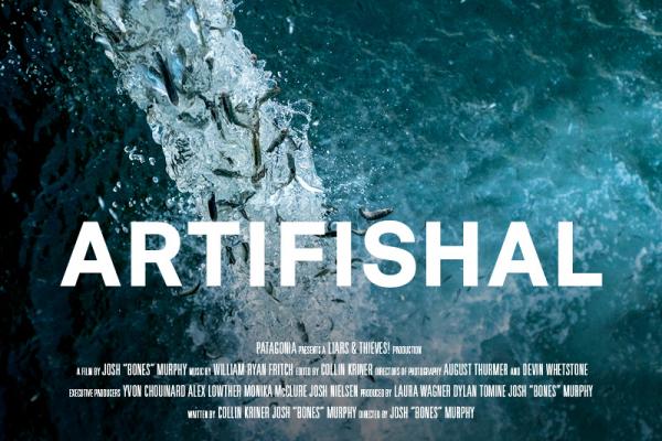 Artifishal movie poster