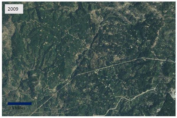 Private land forest conversion for cannabis cultivation in Trinity County, 2009