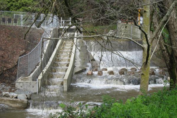 City of Watsonville Fish Ladder