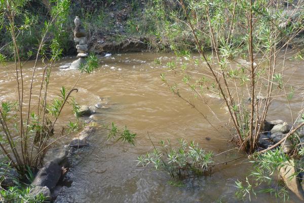 DIDSON Deployment at Topanga Creek