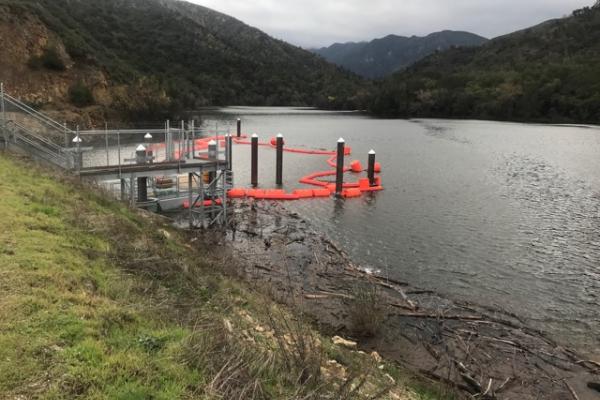 The downstream fish passage with the behavioral guidance device