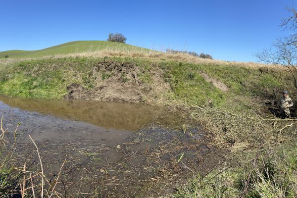 Pooled up water with a person standing downstream. Grassy hills and clear sky. 
