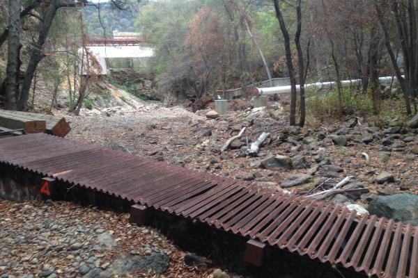 Los Padres Dam Fish Passage