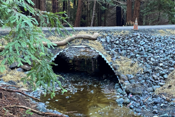 Neefus Appian Way X-ing Post construction 11/29/2021
