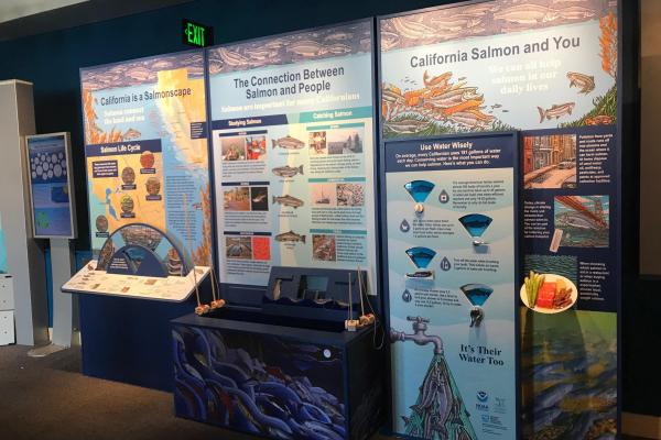 NOAA's Monterey Bay National Marine Sanctuary Salmonscape Exhibit