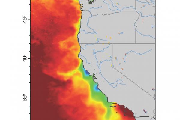 Sea Surface Temperature map of the California Coast