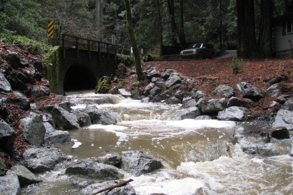 Shingle Mill culvert retrofit