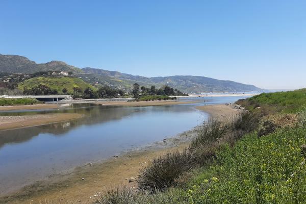 Malibu Lagoon, RCDSM, Rosi Dagit