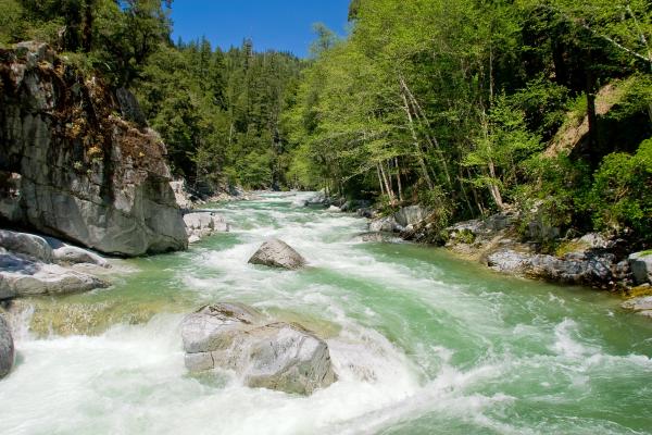 Wooley Creek Photo by Scott Harding