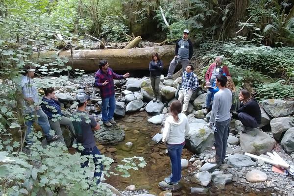 Field Tour - Mill Creek Fish Passage Project in Jedediah Smith Redwoods State Park