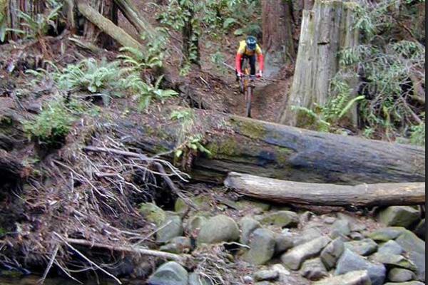 Before the Restoration, mountain biking photo (2001)