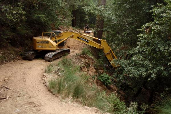 heavy equipment working on road in dense forest