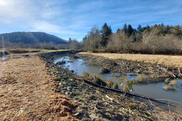 Partly cloudy sky, creek running through, both banks have yellow hay scattered on ground. 