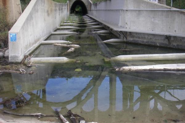 Arroyo Hondo Creek, Highway 101 culvert successfully modified for fish passage