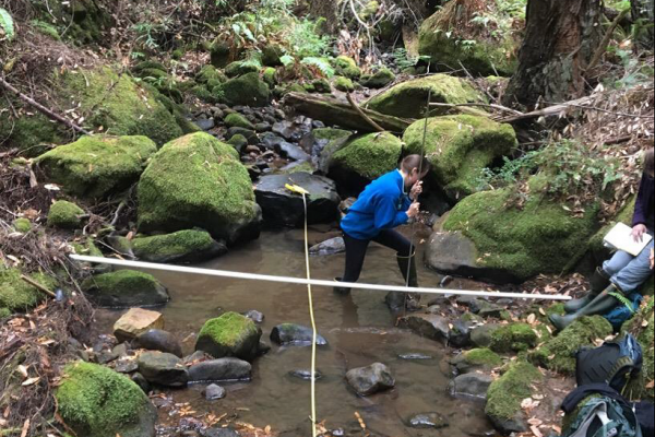 person in pool in a small creek holding a sediment probe. Two measureing tapes criscross the pool. picture has orientation information. 