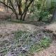 Hole filled with branches in front of a thinned forest. 