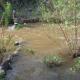 DIDSON Deployment at Topanga Creek