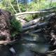 Hardwood LWD installed for the Butano Floodplain