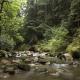 Pescadero Creek