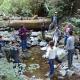 Field Tour - Mill Creek Fish Passage Project in Jedediah Smith Redwoods State Park