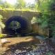 Field Tour - Peacock Creek Fish Passage Project