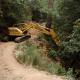 heavy equipment working on road in dense forest