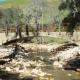 Quiota Creek Crossing 4, a recently completed fish passage project within the Santa Ynez River basin