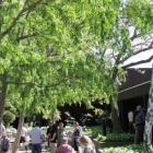 Courtyard at Conference Facility, Davis Veterans Hall