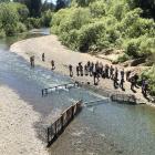 PIT Antenna Tour in the Russian River Watershed (photo by William Boucher)