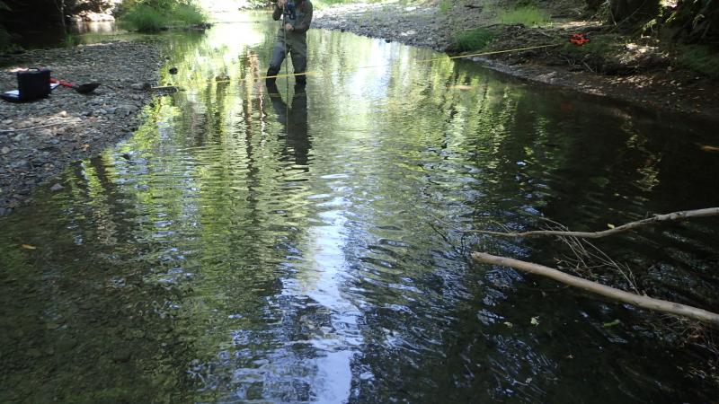 Marshall Ranch Flow Enhancement | Salmonid Restoration Federation
