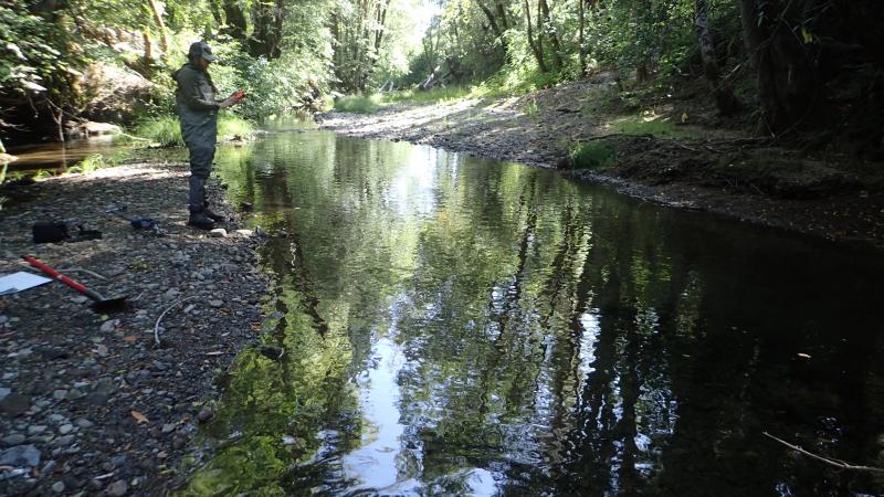 Marshall Ranch Flow Enhancement | Salmonid Restoration Federation